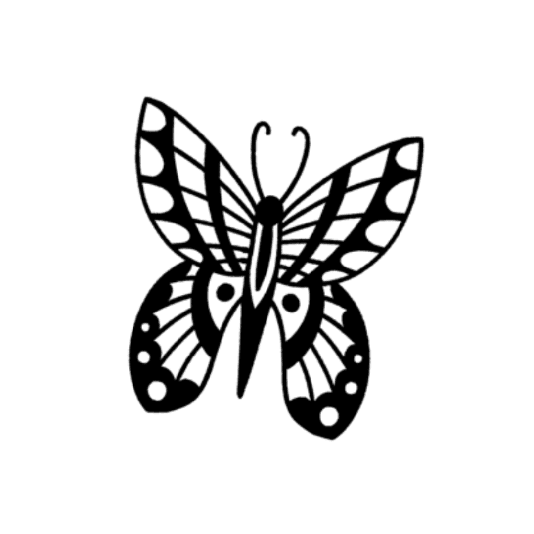 butterfly 3