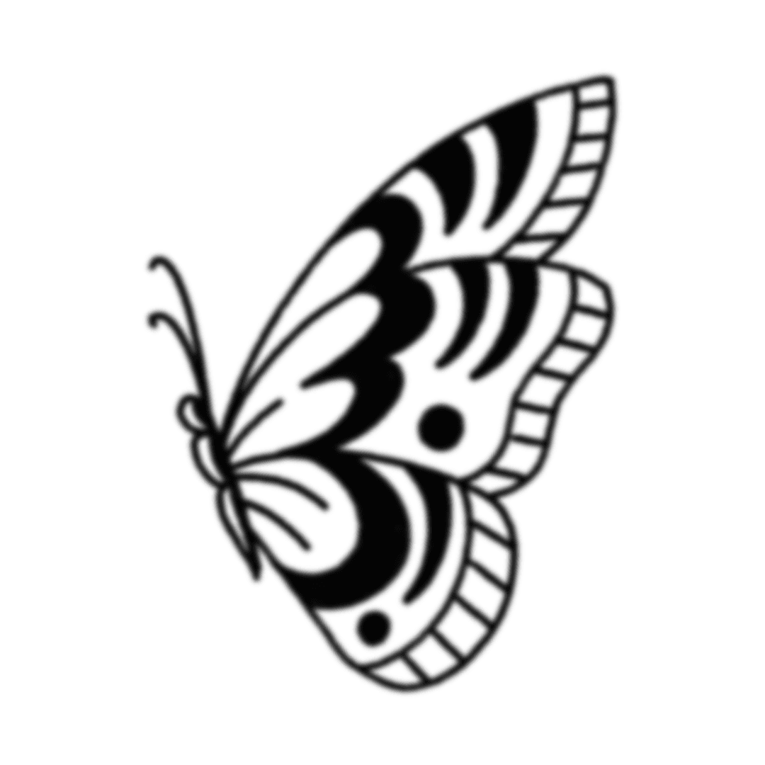 butterfly 5