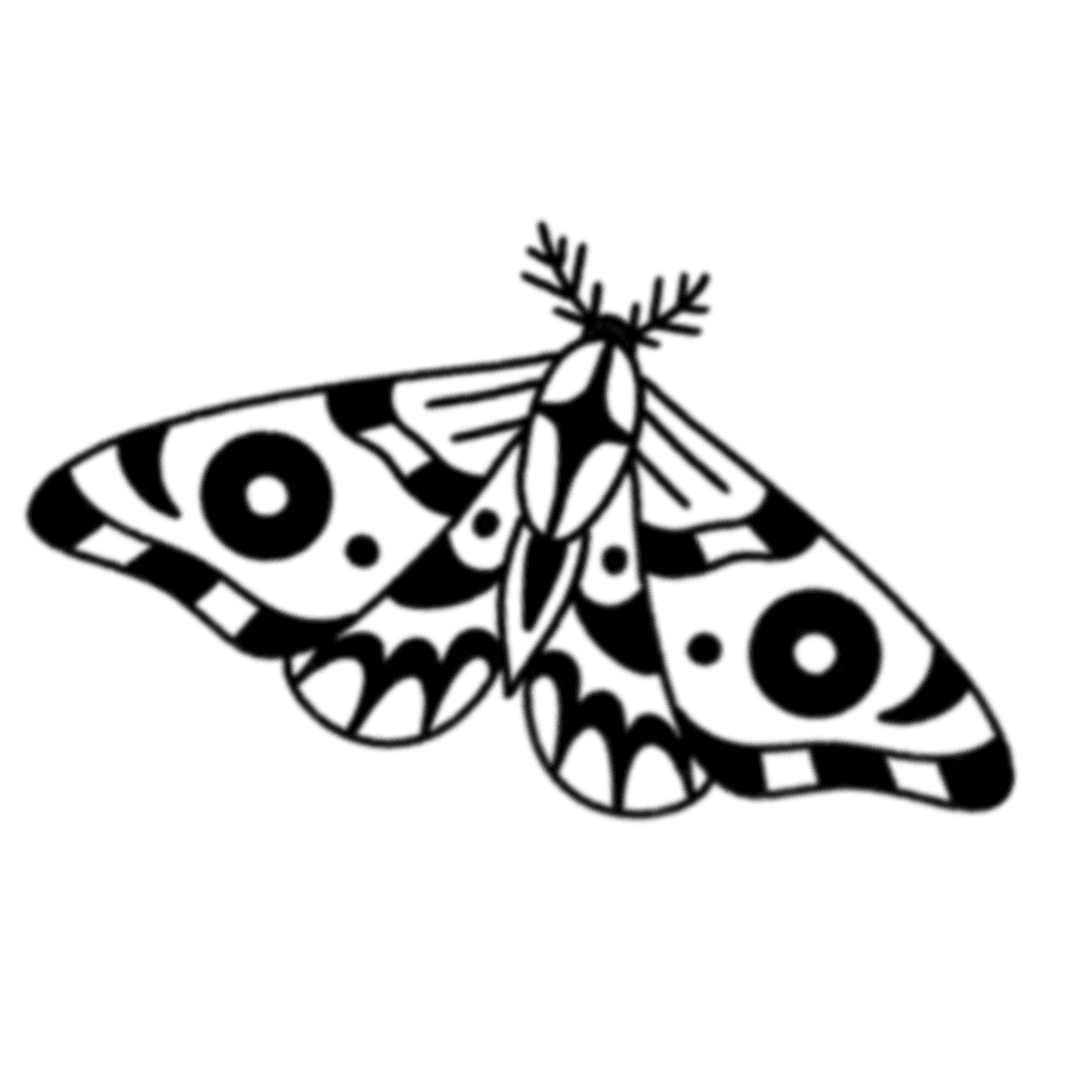 butterfly 6